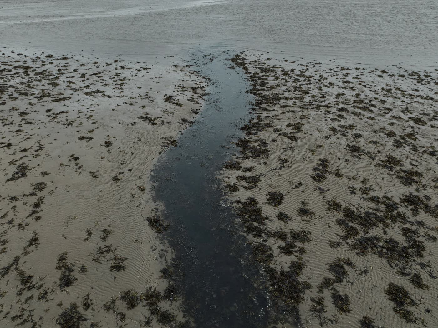 A wet sandy beach at low tide with a water-filled gutter running toward the sea.